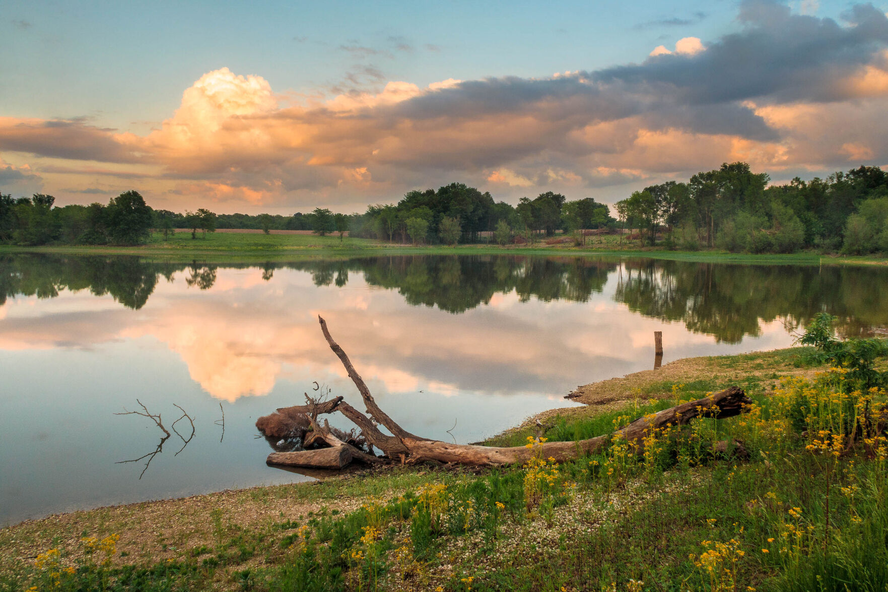 August A. Busch Memorial Conservation Area